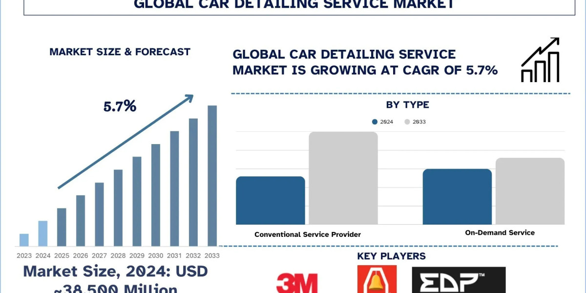 Car Detailing Service Market Size, Growth, Trends, Forecast (2025-2033)